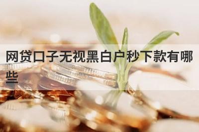 网贷口子无视黑白户秒下款有哪些？这五个容易下款
