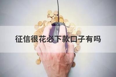 征信很花必下款口子有吗？这几个征信黑白户也好下款