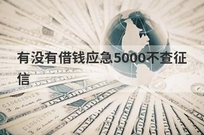 有没有借钱应急5000不查征信？精心整理5个不看征信的小额借钱一万以下，极速借款秒到账