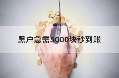 黑户急需5000块秒到账