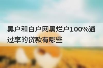 黑户和白户网黑烂户100%通过率的贷款有哪些？这5个贷款容易通过