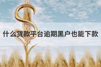 什么贷款平台逾期黑户也能下款？盘点几个逾期黑户能借的口子