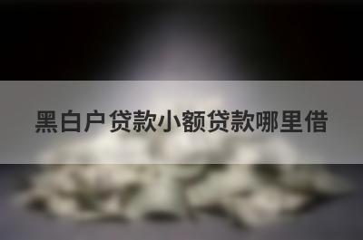 黑白户贷款小额贷款哪里借？精选整理5个2024年黑白户贷款马上放款的平台