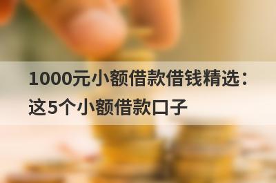 1000元小额借款借钱精选：这5个小额借款口子，轻松借到急需资金！