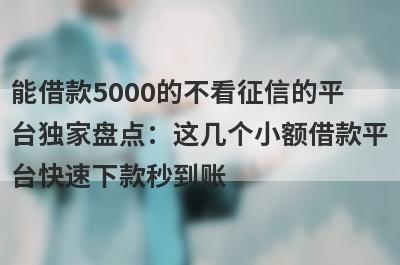 能借款5000的不看征信的平台独家盘点：这几个小额借款平台快速下款秒到账！