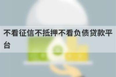 不看征信不抵押不看负债贷款平台，小额贷不查征信能贷三五千的