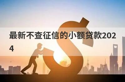 最新不查征信的小额贷款2024，征信花了急需10万