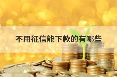不用征信能下款的有哪些？这几个贷款平台不用征信也能下款
