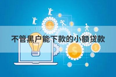 不管黑户能下款的小额贷款，这几个贷款平台网黑烂户也能下款