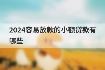 2024容易放款的小额贷款有哪些？独家盘点征信花了贷款秒拒也能急用钱