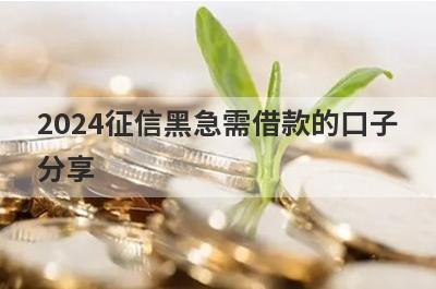 2024征信黑急需借款的口子分享，多个贷款平台分析，容易借钱