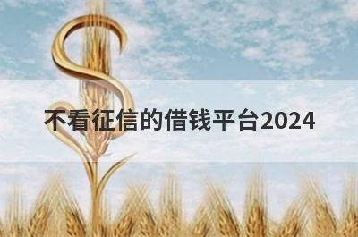 不看征信的借钱平台2024，挑选5个不看征信的借钱平台2024