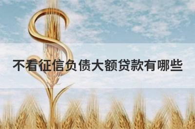不看征信负债大额贷款有哪些？盘点5个不看征信不看负债小额贷款