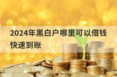 2024年黑白户哪里可以借钱快速到账？这几个黑白户的口子马上到账