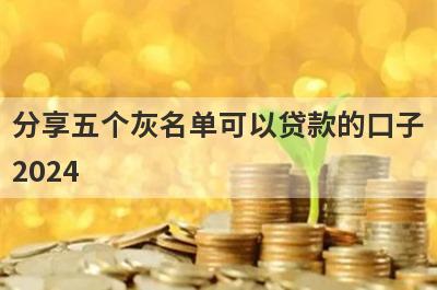 分享五个灰名单可以贷款的口子2024，可以满足大家的需求