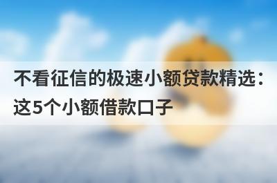 不看征信的极速小额贷款精选：这5个小额借款口子，轻松借到急需资金！