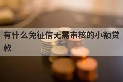 有什么免征信无需审核的小额贷款？这几个都可以了解，总有一个适合你