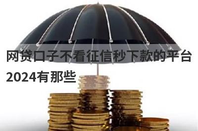 网贷口子不看征信秒下款的平台2024有那些？精心挑选几个必下款的网贷口子！
