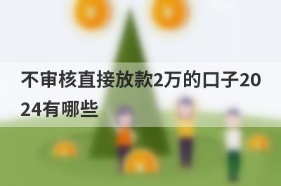 不审核直接放款2万的口子2024有哪些？推荐5个网贷申请就通过