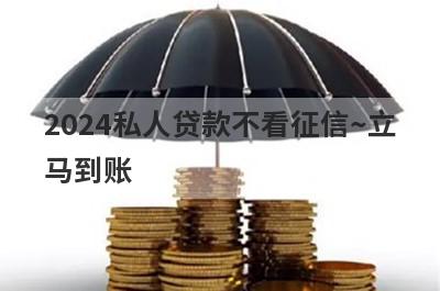 2024私人贷款不看征信~立马到账，独家盘点5个不用看征信的手机借贷