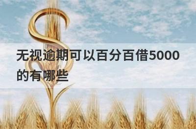 无视逾期可以百分百借5000的有哪些？无视逾期必下款口子