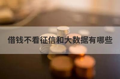 借钱不看征信和大数据有哪些？独家盘点5个征信烂了审核必过的贷款2024