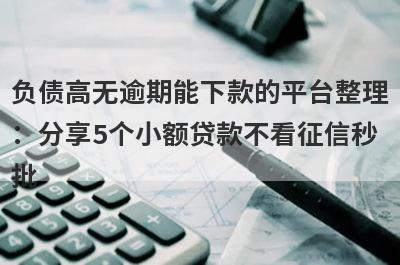 负债高无逾期能下款的平台整理：分享5个小额贷款不看征信秒批