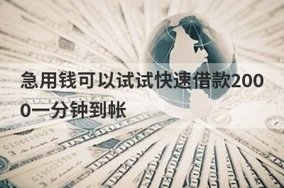 急用钱可以试试快速借款2000一分钟到帐，放款快速！