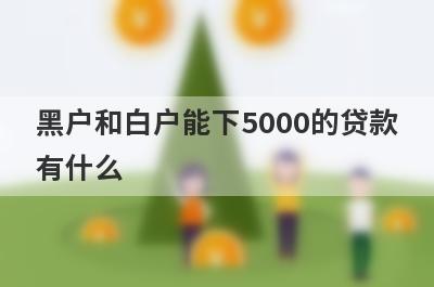 黑户和白户能下5000的贷款有什么？试试这5个能借5000的口子