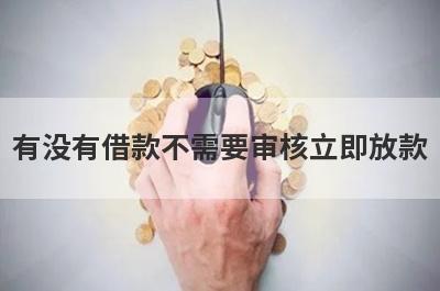 有没有借款不需要审核立即放款？精心整理5个无视一切包下款5000分期的贷款，急用秒到账！