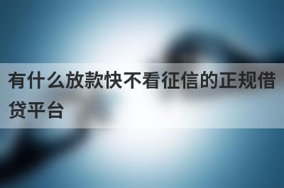 有什么放款快不看征信的正规借贷平台 盘点5个放款快不看征信的正规借贷平台