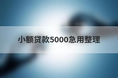 小额贷款5000急用整理，这5个都是最容易贷款的网贷平台