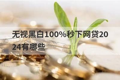 无视黑白100%秒下网贷2024有哪些？分享5个可以借钱马上到账的网贷