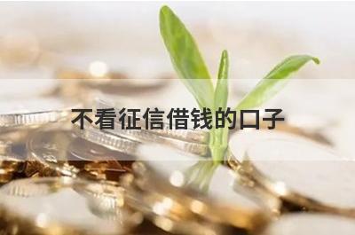 不看征信借钱的口子，这几个小额贷款平台都能满足