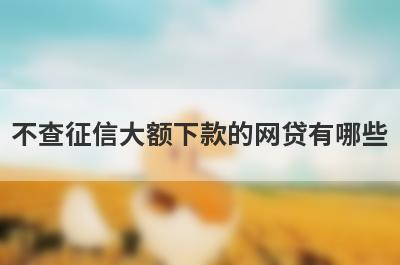 不查征信大额下款的网贷有哪些？借款1000元马上放款