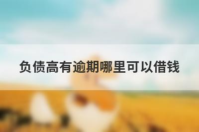 负债高有逾期哪里可以借钱？整理5个负债高有逾期秒下款软件