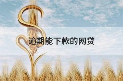 逾期能下款的网贷，汇总五个小额贷款平台