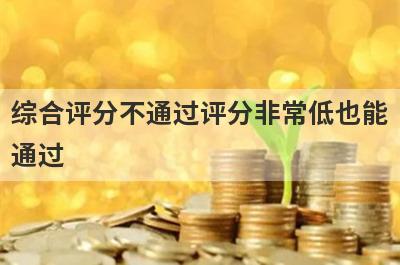 综合评分不通过评分非常低也能通过，这5个平台秒下款
