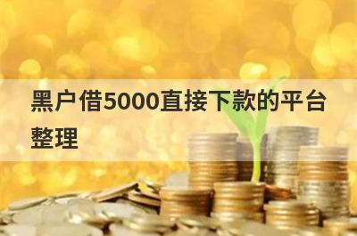 黑户借5000直接下款的平台整理，这5个都是2024黑户下5000的口子