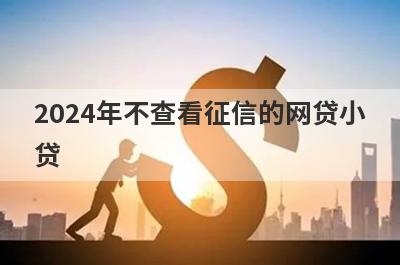 2024年不查看征信的网贷小贷 独家盘点5个不用征信就能借钱的平台
