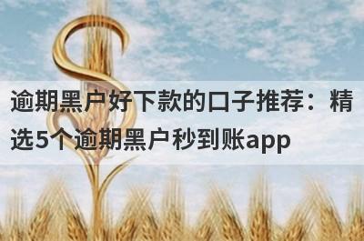 逾期黑户好下款的口子推荐：精
选5个逾期黑户秒到账app
