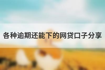 各种逾期还能下的网贷口子分享，5个贷款便捷，秒到账的口子！