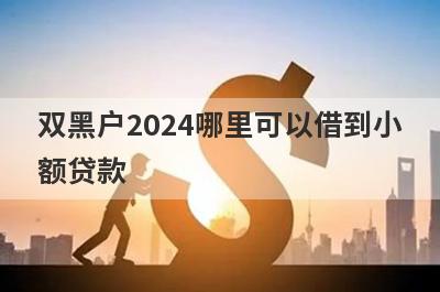 双黑户2024哪里可以借到小额贷款？精选5个黑白户贷款能借钱的平台
