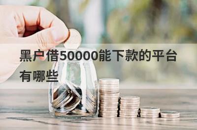 黑户借50000能下款的平台有哪些？盘点5个逾期负债高能下的口子
