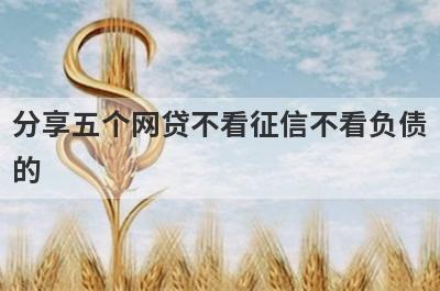 分享五个网贷不看征信不看负债的，可以满足大家的需求