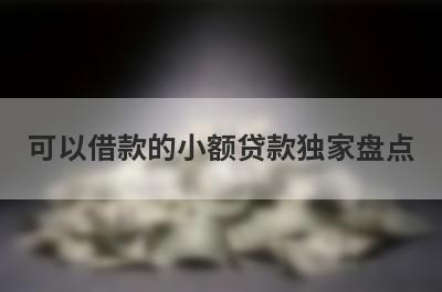 可以借款的小额贷款独家盘点，这几个可以借款的小额贷款快速下款秒到账！