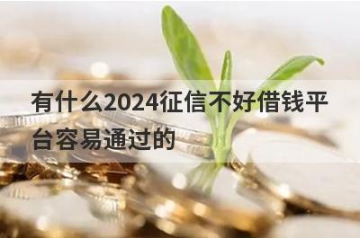 有什么2024征信不好借钱平台容易通过的？这些都比较不错