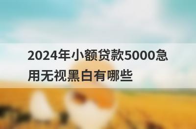 2024年小额贷款5000急
用无视黑白有哪些
