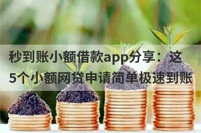 秒到账小额借款app分享：这
5个小额网贷申请简单极速到账
