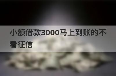 小额借款3000马上到账的不
看征信
